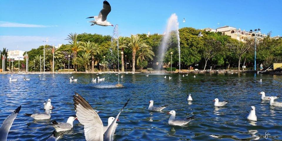 Апартаменти Torrevieja Experience San Julian Екстер'єр фото
